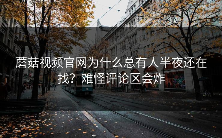 蘑菇视频官网为什么总有人半夜还在找？难怪评论区会炸